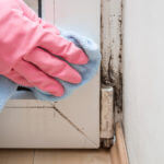 Mold Mildew Fungus Remediation